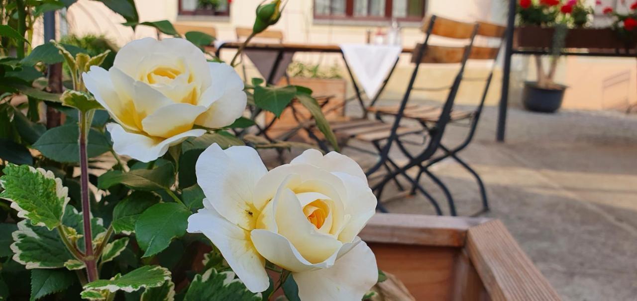 Hotel "Pension Marlis" Garni Reichenberg  Zewnętrze zdjęcie