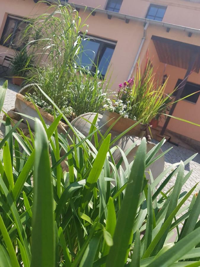 Hotel "Pension Marlis" Garni Reichenberg  Zewnętrze zdjęcie